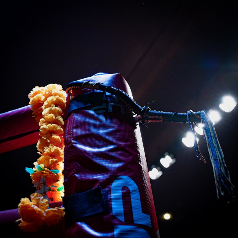 Fighter standing in the cage with a fist raised, ready stance